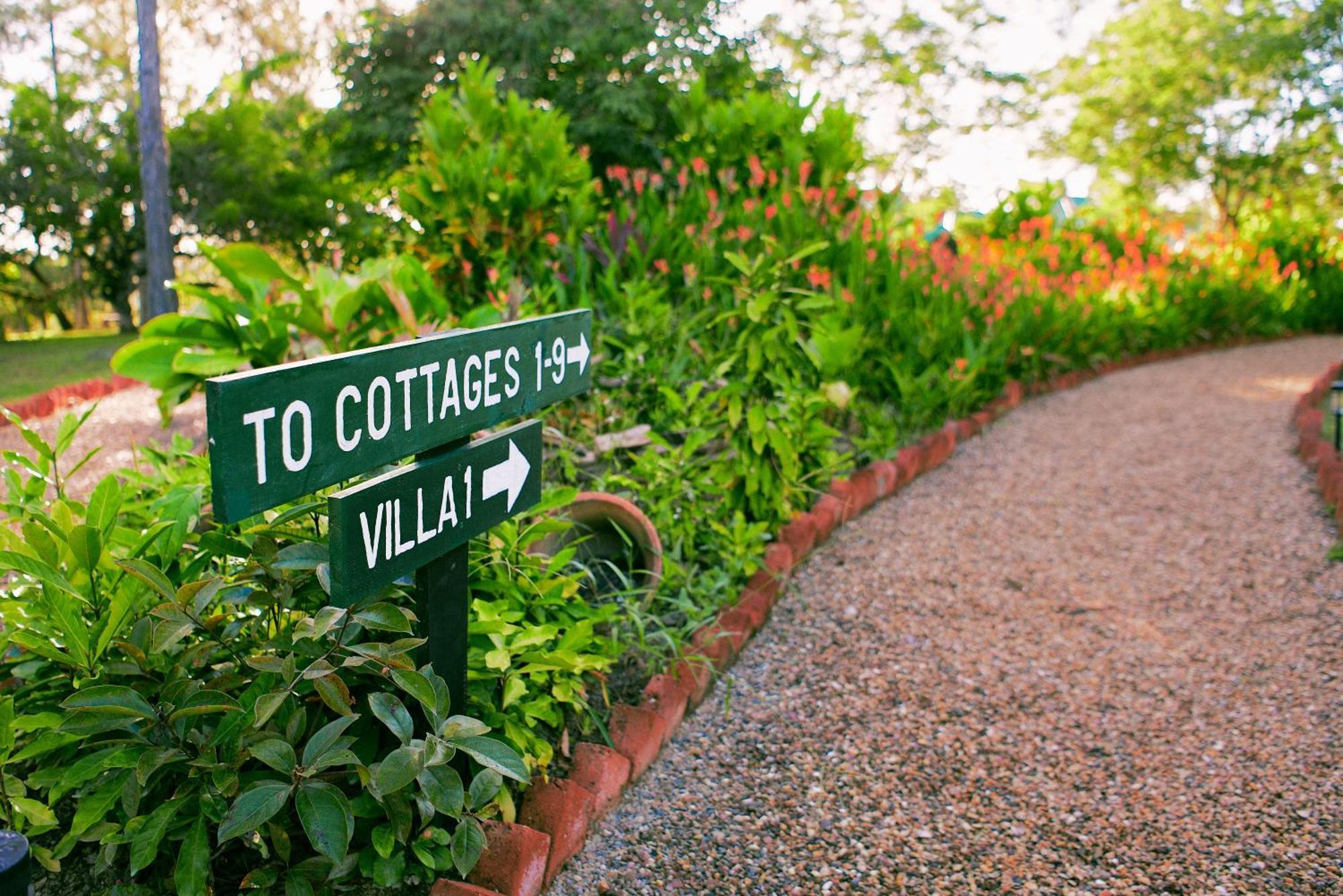 Hidden Valley Wilderness Lodge Blancaneaux ภายนอก รูปภาพ